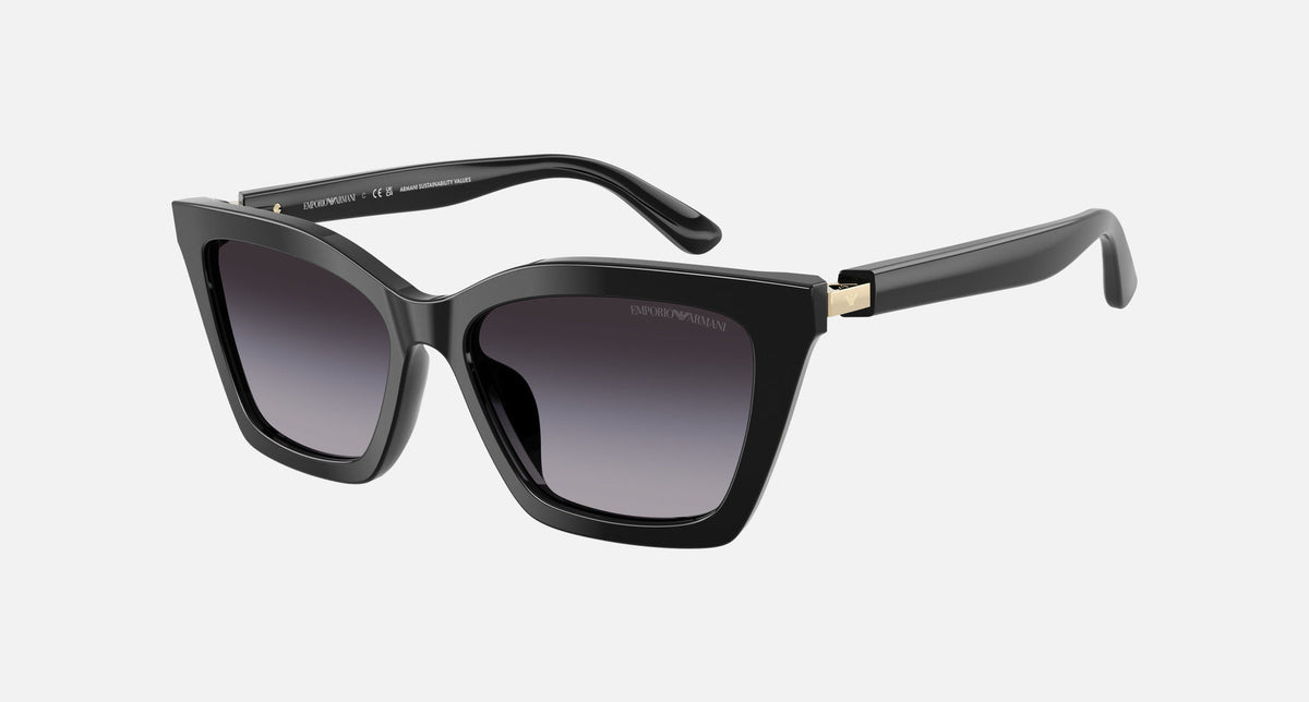 EA4250U / Black (Shiny black) / Grey (Gradient Grey) (50178G) / 54-16-140