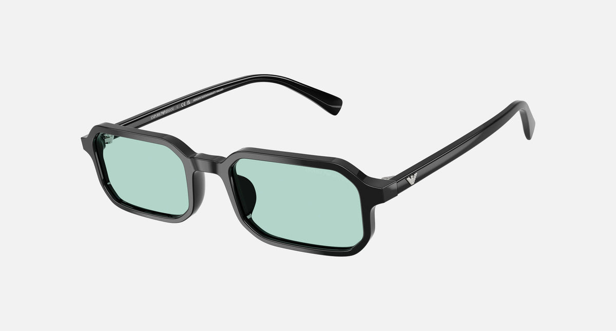 EA4253U / Black (Shiny black) / Light Azure (501765) / 54-21-145