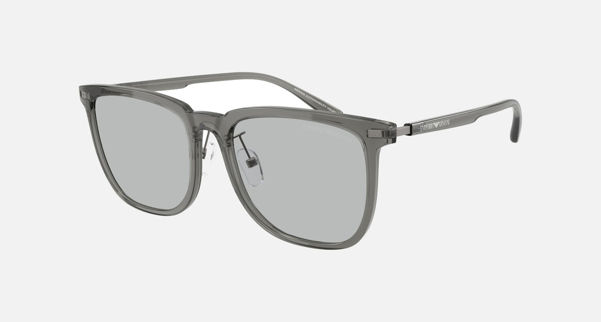 EA4255D / Grey (Shiny transparent grey) / Grey (Light Grey) (502987) / 56-18-145