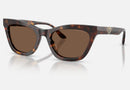 EA4259U / Tortoise / Brown (502673) / 55-20-140