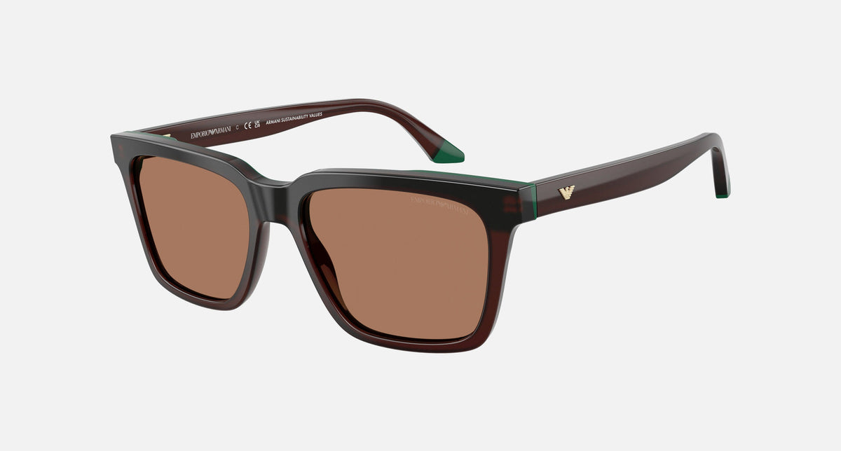 EA4260 / Green (Opaline brown/green) / Brown (brown) (631573) / 55-17-145