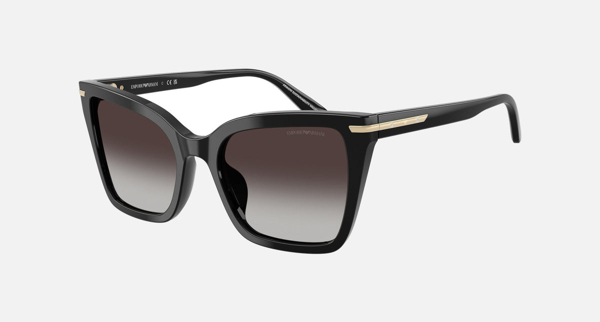 EA4273BU / Black (Shiny black) / Grey (Grey Gradient) (50178G) / 53-19-140