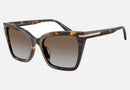 EA4273BU / Havana (Shiny havana) / Grey, Brown (Grey Gradient Brown) (502689) / 53-19-140