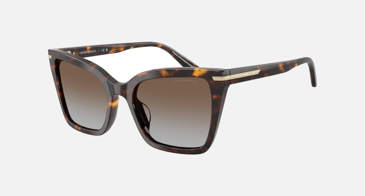EA4273BU / Havana (Shiny havana) / Grey, Brown (Grey Gradient Brown) (502689) / 53-19-140