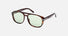 FT1022 / Tortoise / Green (52N) / 58-16-140