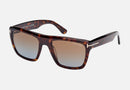 FT1077 / Tortoise / Brown (52F) / 55-20-145