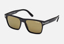 FT1205 / Black / Brown (01H) / 55-17-145