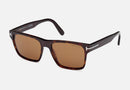FT1205 / Tortoise / Brown (52E) / 55-17-145
