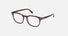 FT5868-B / Tortoise (052) / 51-18-145