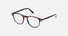 FT5899-B / Tortoise (052) / 48-19-145