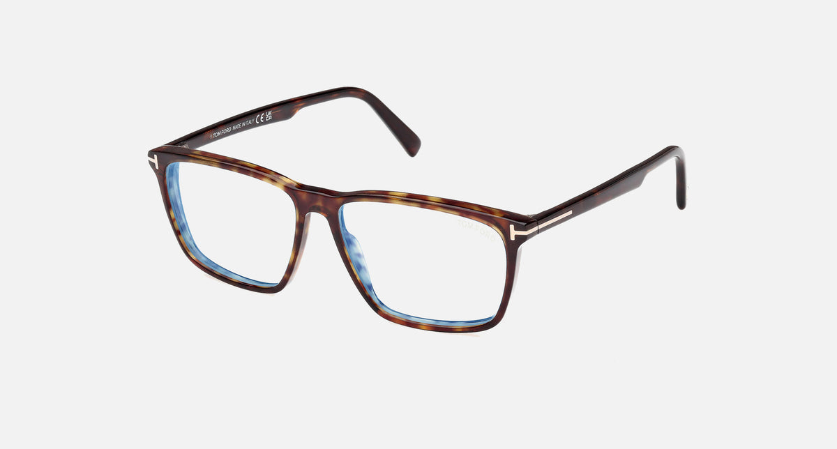 FT5959-B / Tortoise (052) / 56-14-145