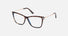 FT6097-B / Tortoise (052) / 53-13-140