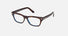 FT6131-B / Tortoise (052) / 53-16-145