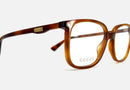 GG0260O / Transparent/Tortoise Brown(002) / 53-17-145