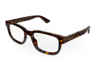 GG1584O Gucci / Havana(002) / 53-18-145
