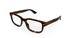 GG1584O Gucci / Havana(002) / 53-18-145