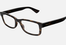 GG1717O Gucci / Havana(002) / 54-19-145
