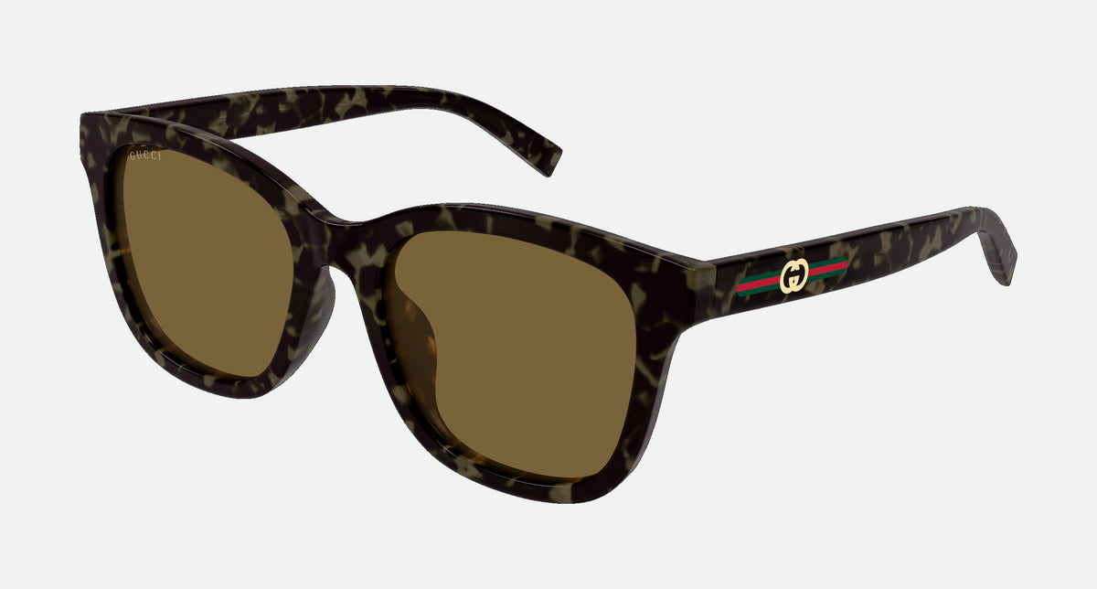 GG1984SK / Brown/Havana(003) / 55-19-145