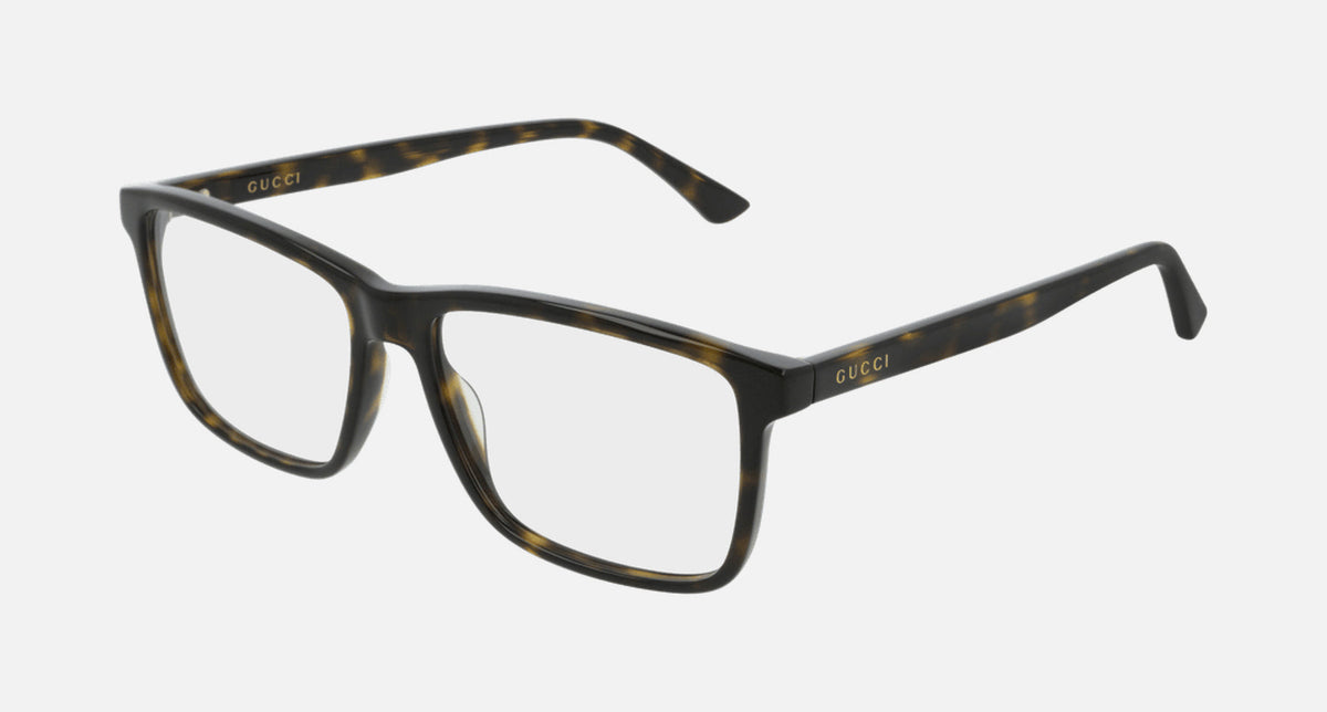 GG0407O / Transparent/Havana(002) / 55-16-145