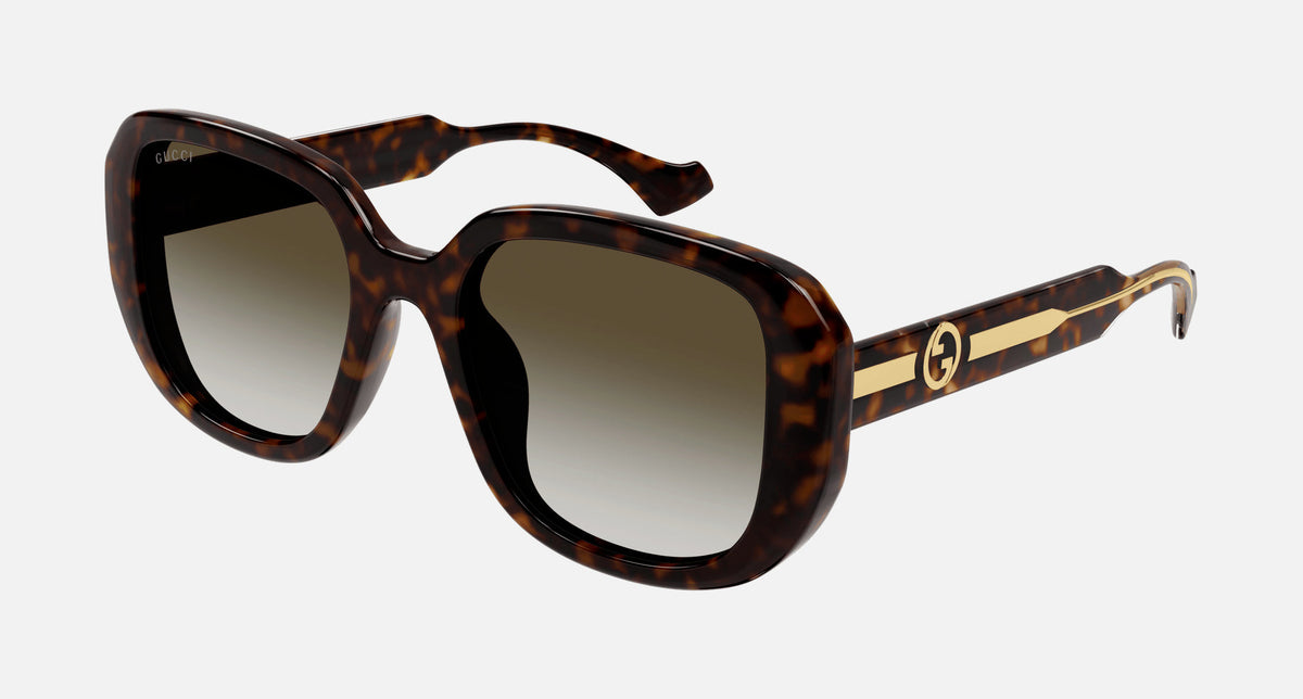 GG1557SK / Brown/Havana(002) / 54-20-145