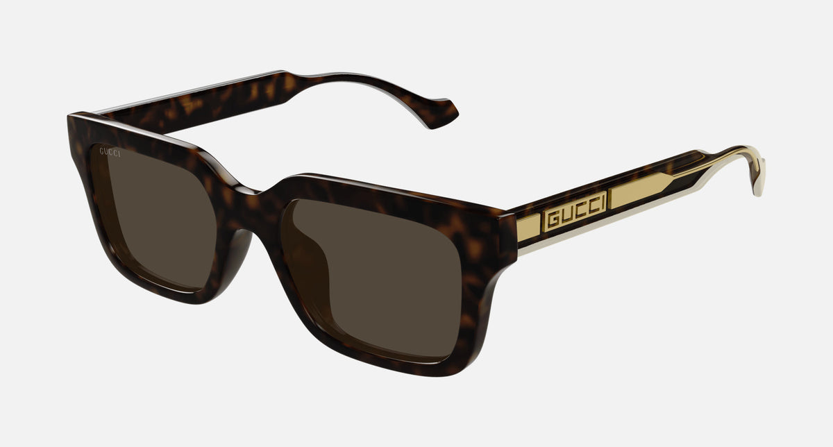 GG1732SK / Brown/Havana(002) / 55-20-145