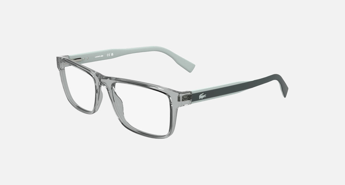 L2973 / Transparent Grey(035) / 56-18-145
