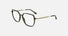 L2981 / Transparent Khaki(275) / 55-15-140
