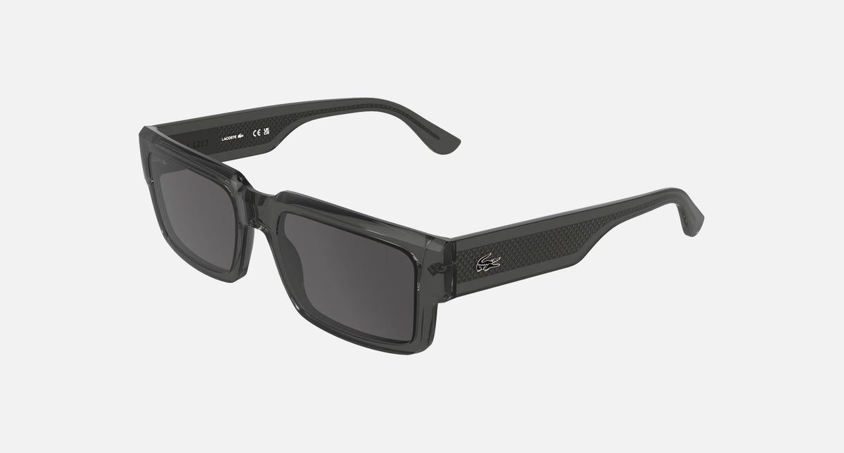 L6082S / Original Lens/Transparent Dark Grey(035) / 55-19-145
