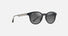 MJ0636S / Shiny Black with Trans Light Grey / Neutral Grey (GS636-14) / 50-20-145 / quarter angle