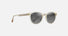 MJ0636S / Shiny Trans Yellow / Neutral Grey (GS636-21) / 50-20-145 / quarter angle
