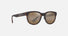 MJ0668S / Matte Dark Havana / HCL® Bronze (H668-10) / 52-19-145 / quarter angle