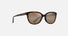 MJ0758S / Shiny Dark Havana / HCL® Bronze (H758-10) / 54-18-140 / quarter angle
