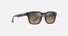 MJ0643S / Shiny Dark Havana with Trans Yellow / HCL® Bronze (HS643-10) / 52-20-145 / quarter angle
