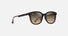 MJ0647SA / Official frame colour / HCL® Bronze (HS647-10) / 55-18-145 / quarter angle