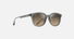 MJ0647SA / Shiny Trans Dark Grey / HCL® Bronze (HS647-14) / 55-18-145 / quarter angle