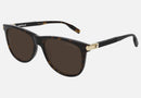 MB0031S-MontBlanc / Brown/Havana(008) / 57-18-150