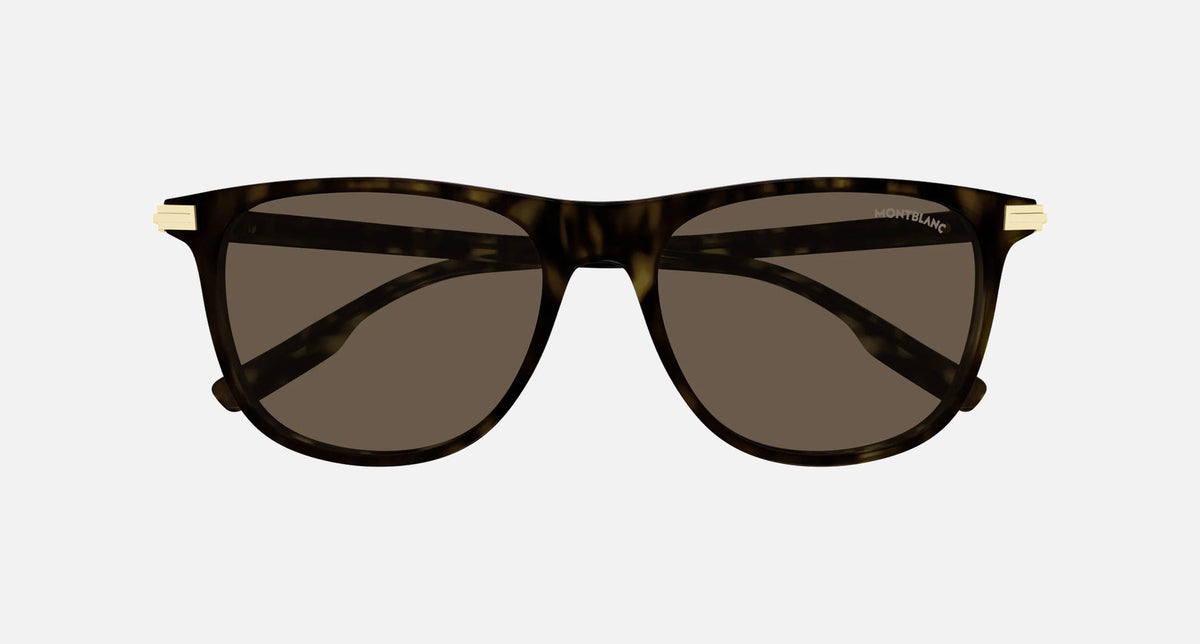 MB0216S / Brown/Havana(002) / 56-16-145