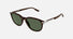 MB0276S / Green/Havana(002) / 52-19-145