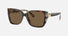 MK2199 Acadia / Tortoise (395173) / 55-17-135 / Primary three-quarter angle