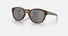 OO9265 / Matte Brown Tortoise / Not specified (22) / 53-21-139