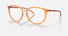 OX8150 / Polished Transparent Ginger / Demo Lens (05) / 53-17-141