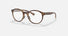 OX8176 / Satin Brown Tortoise / Demo Lens (02) / 51-20-139