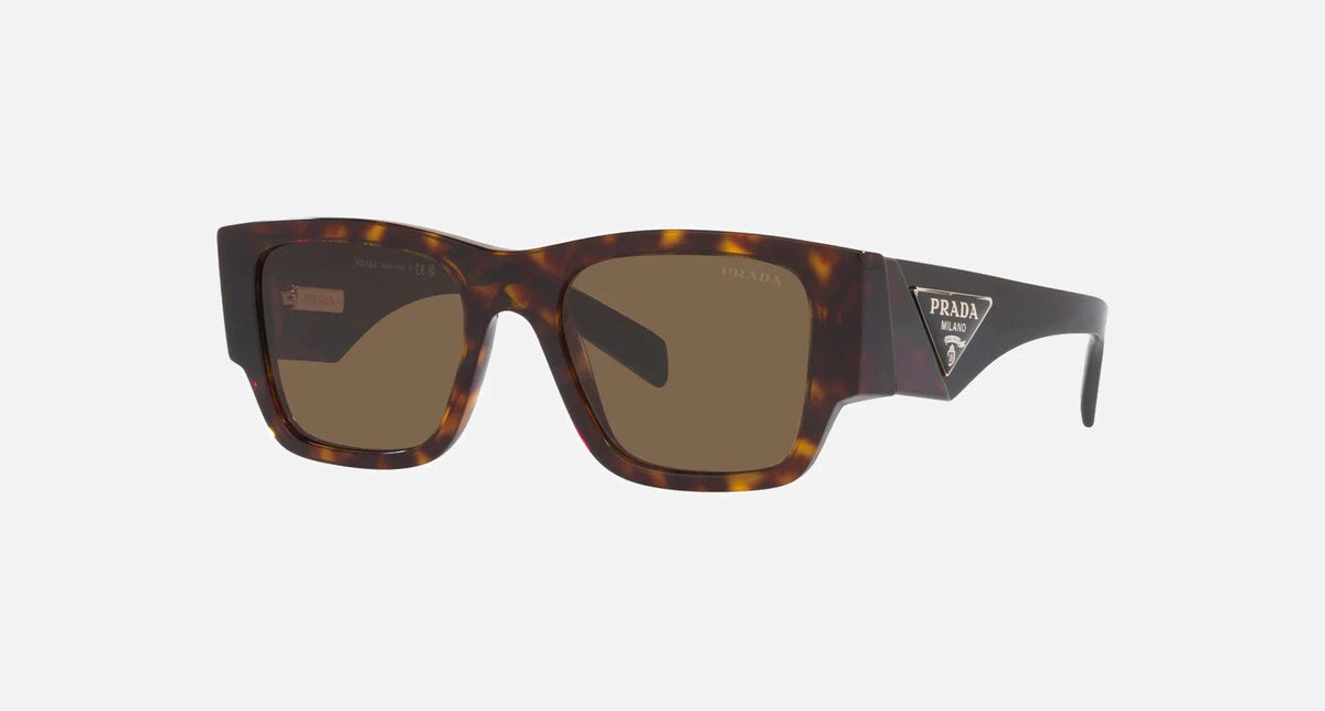 PR 10ZS / Dark Brown/Tortoise(2AU06B) / 54-20-140