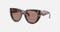 PR 14WS / Light Brown/Mauve Tortoise(23A60B) / 52-20-140