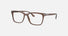 PR 14WV / Brown Transparent(17O1O1) / 54-18-145