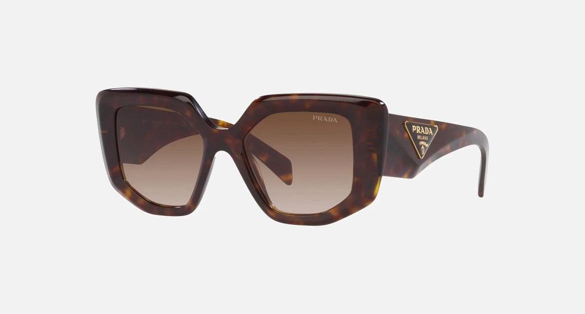 PR 14ZS / Brown Gradient/Tortoise(2AU6S1) / 50-18-140