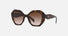 PR 16WS / Brown Gradient/Havana(2AU6S1) / 53-20-145