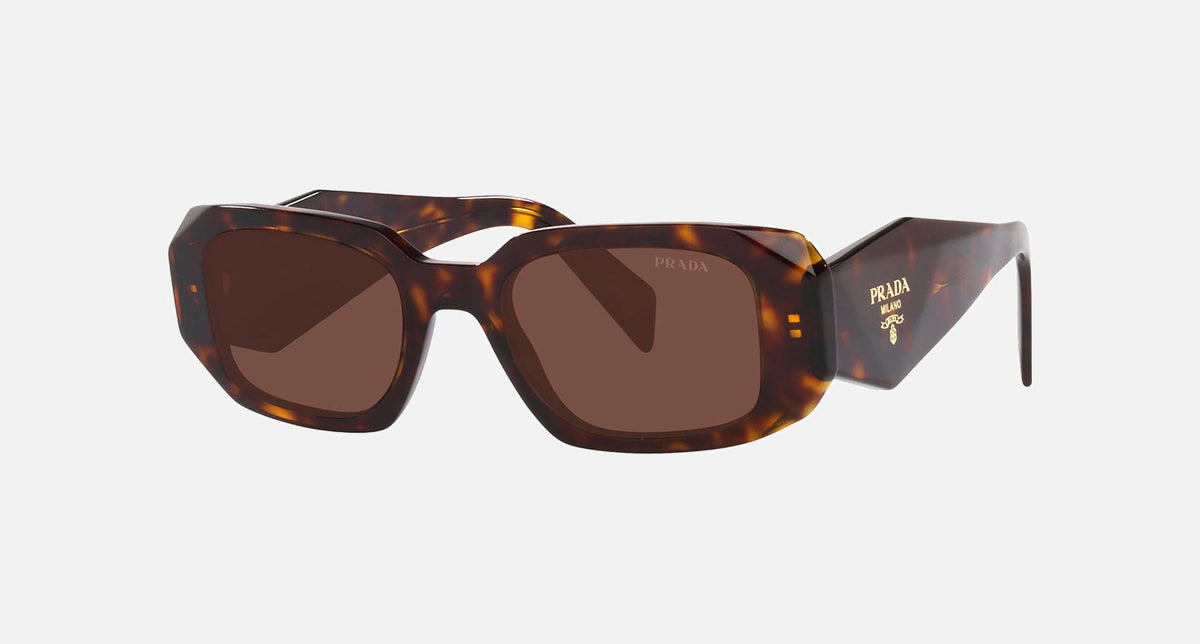 PR 17WS / brown/tortoise(2AU03U) / 49-20-145