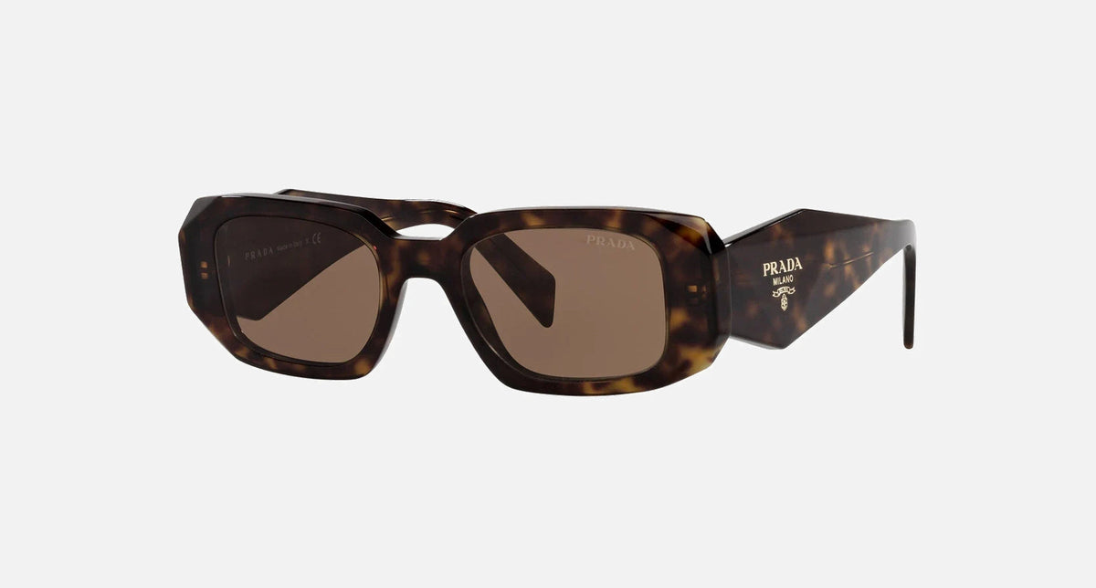 PR 17WS / Brown/Havana(2AU8C1) / 49-20-145