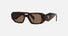 PR 17WS / Brown/Havana(2AU8C1) / 49-20-145